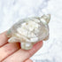 2.5 Inch Flower Agate Turtle Carving E42