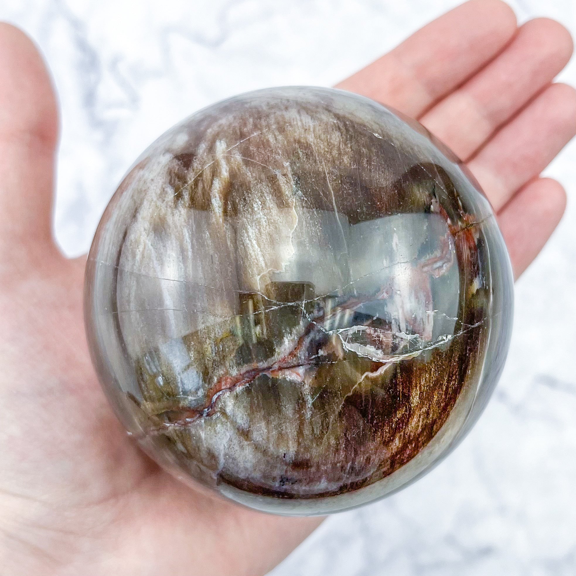 3.5 Inch Petrified Wood Sphere G156