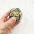 Red Moss Agate Sphere A67