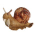 Miyoni - Garden Snail 9"