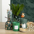 Forest Rain Scented Tube Candle