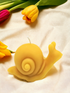 Snail Beeswax Candle