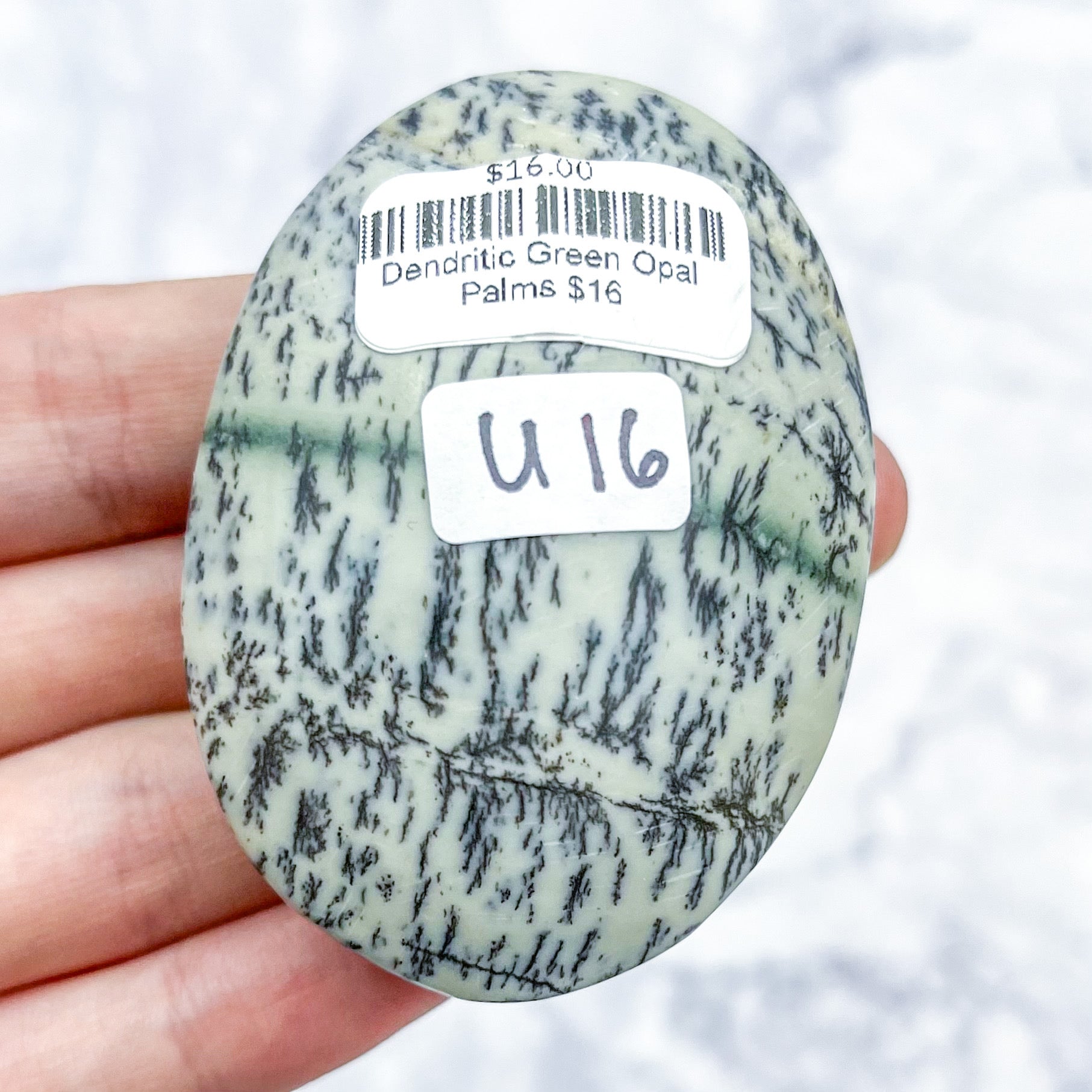 2.25 Inch Dendritic Green Opal Palmstone U16