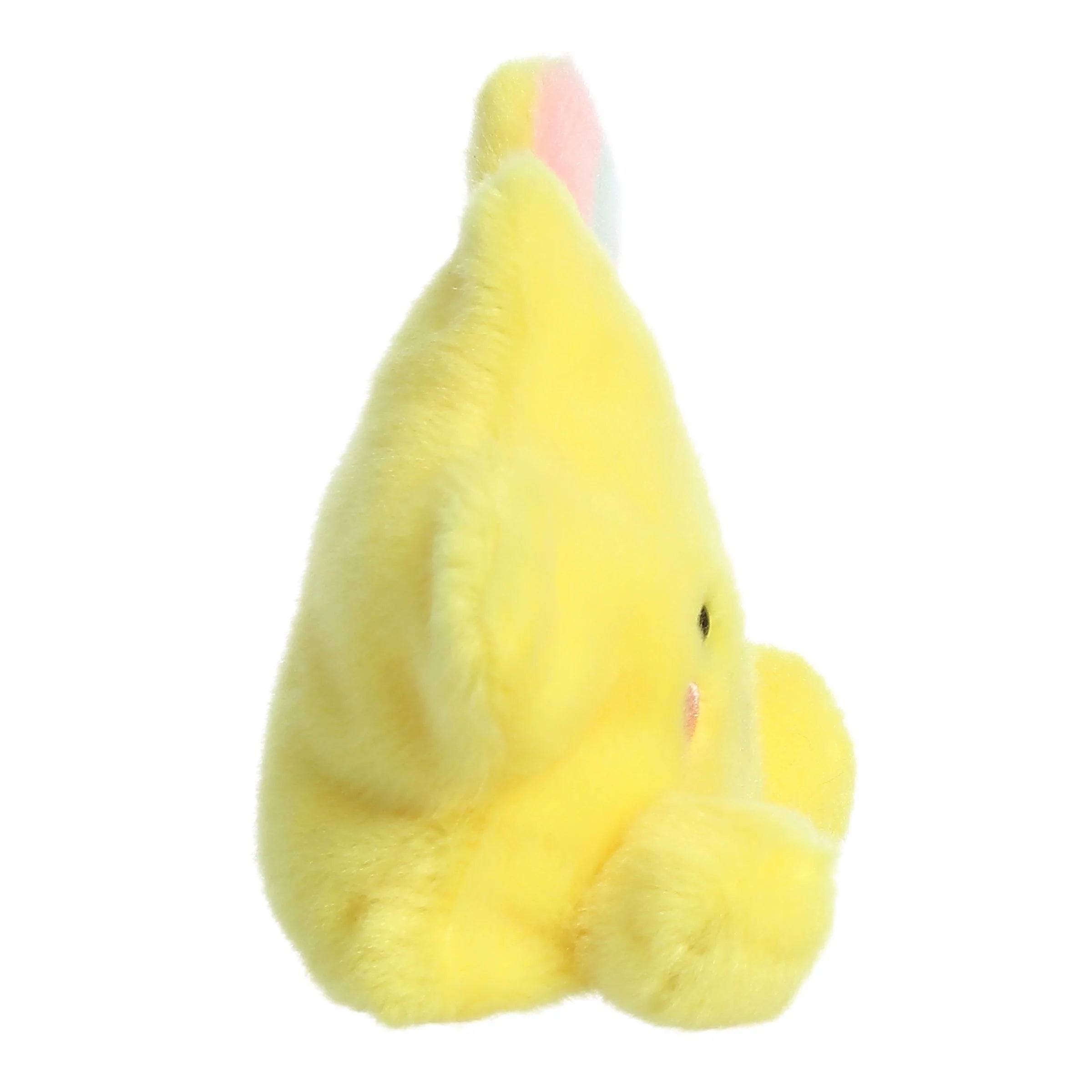 Palm Pals - Pisces Star 4"