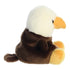 Palm Pals - Murphy Bald Eagle 5"