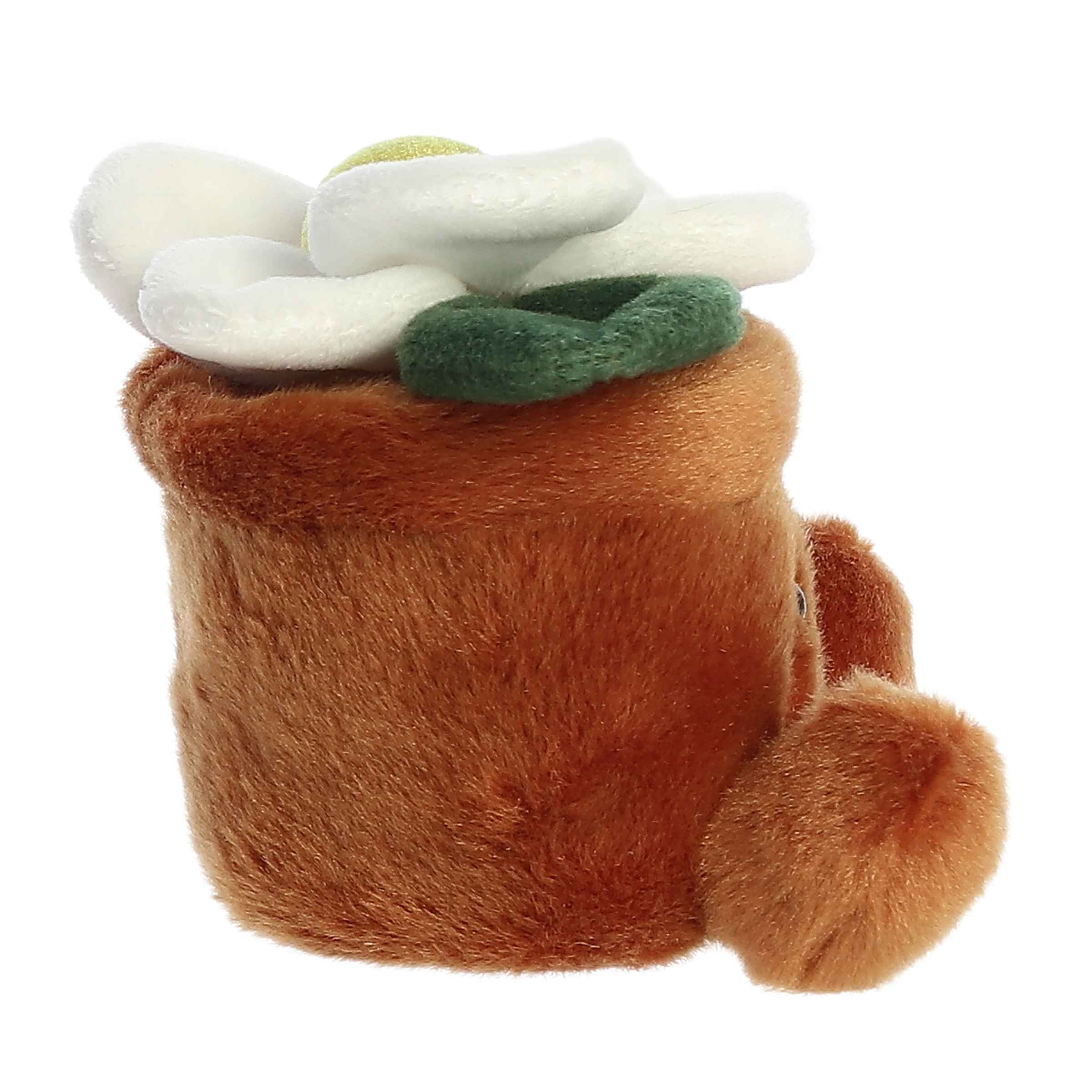 Palm Pals - Junie Daisy 5"