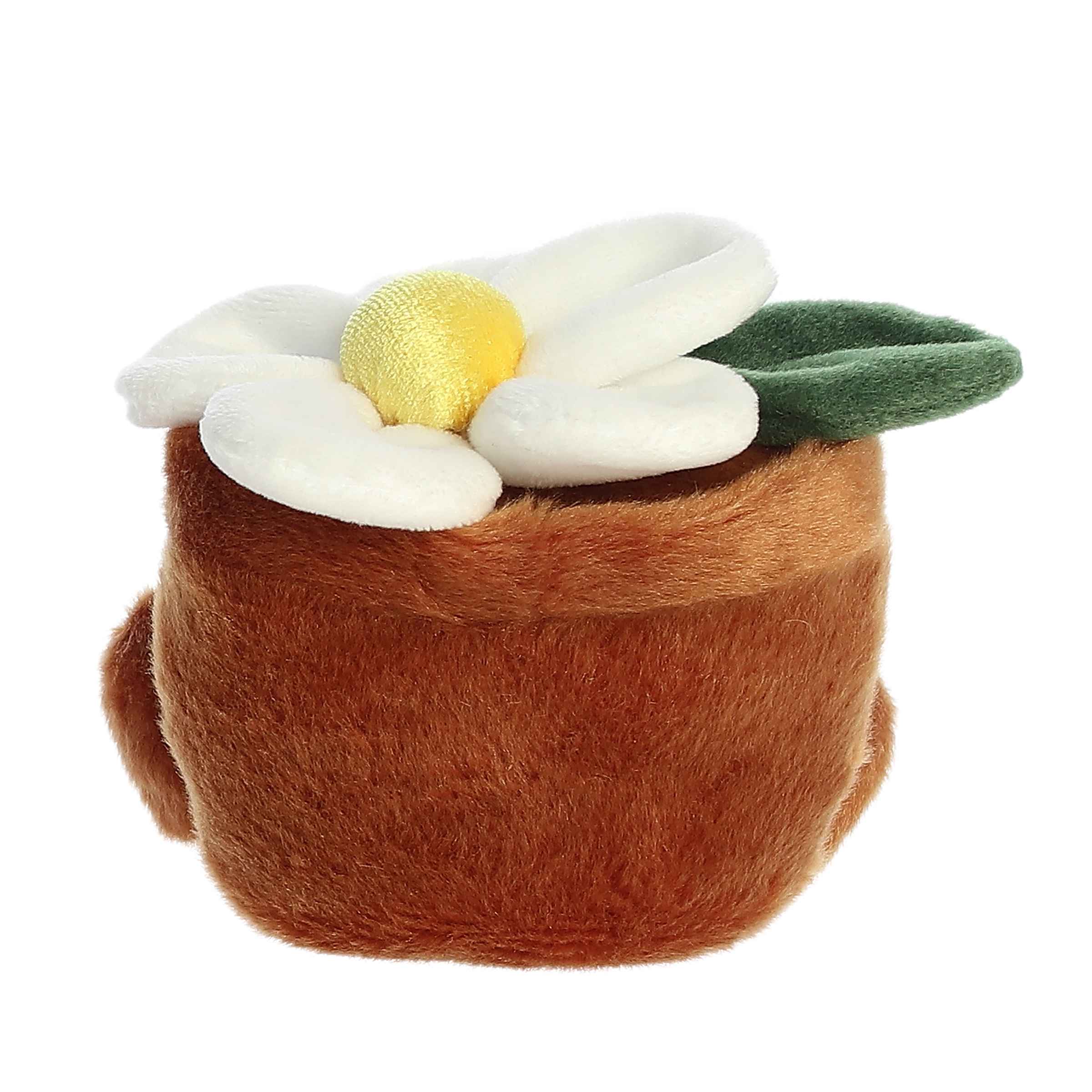 Palm Pals - Junie Daisy 5"