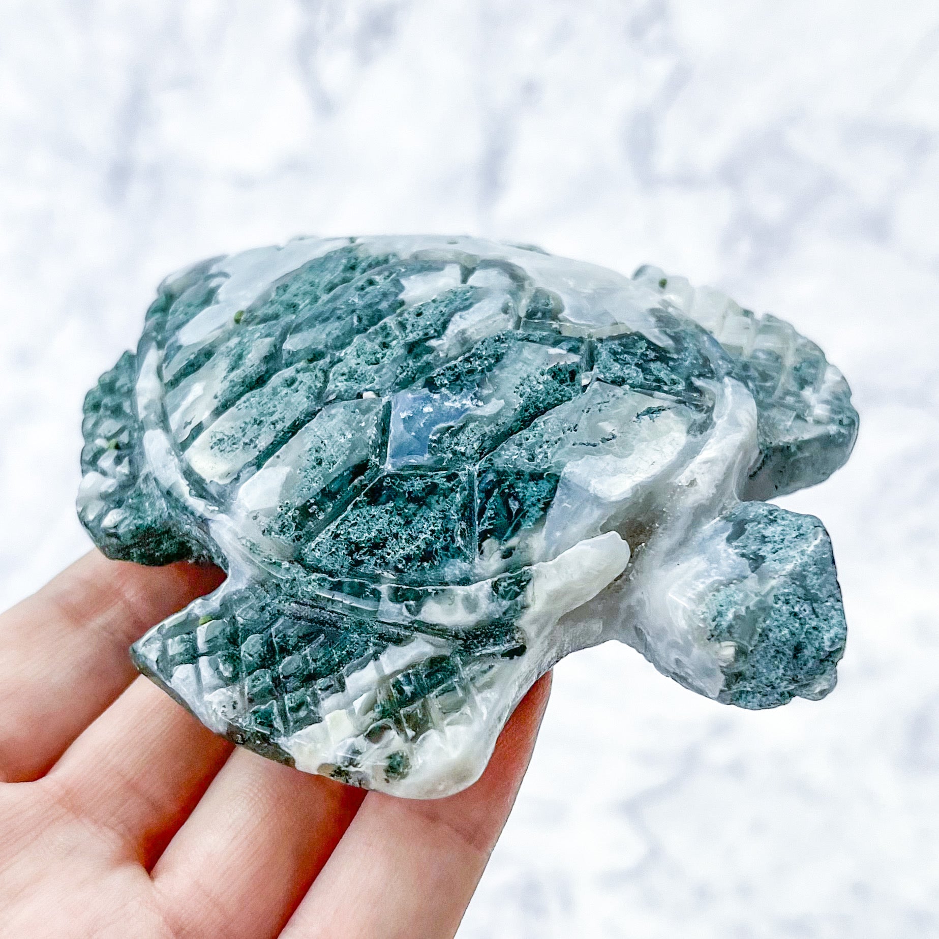 4 Inch Moss Agate Turtle Carving W120