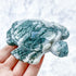 4 Inch Moss Agate Turtle Carving W120