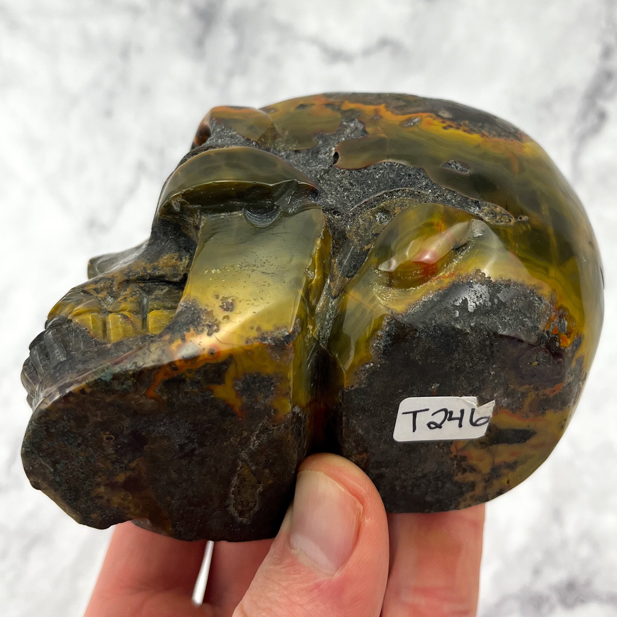 4 Inch Mexican Lace Agate on Host Stone Skull BT246