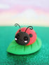 Lottie the Ladybug DIY Air Dry Clay Kit