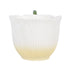 Flower Fairy Wing Teacup