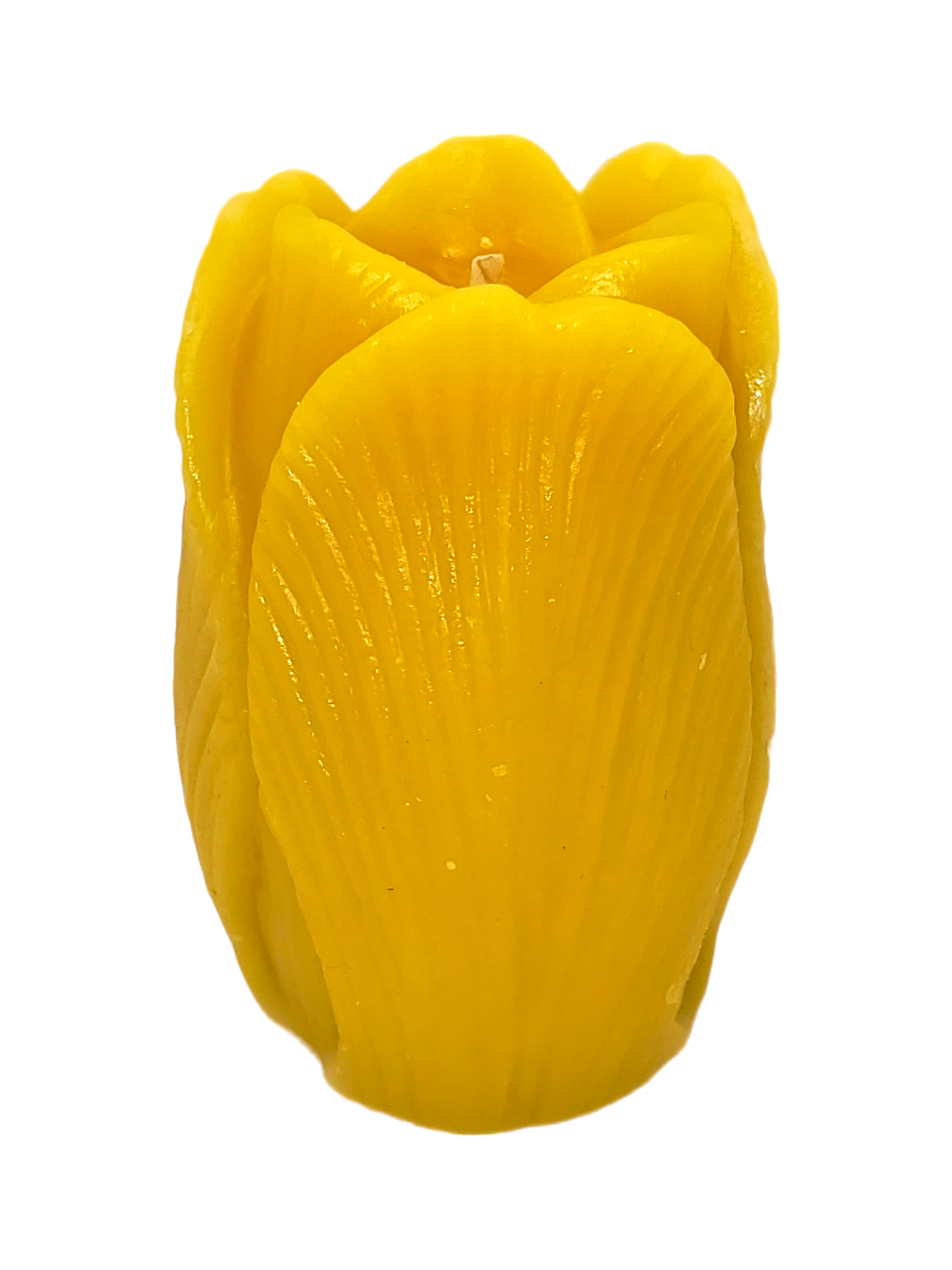 Tulip Beeswax Candle