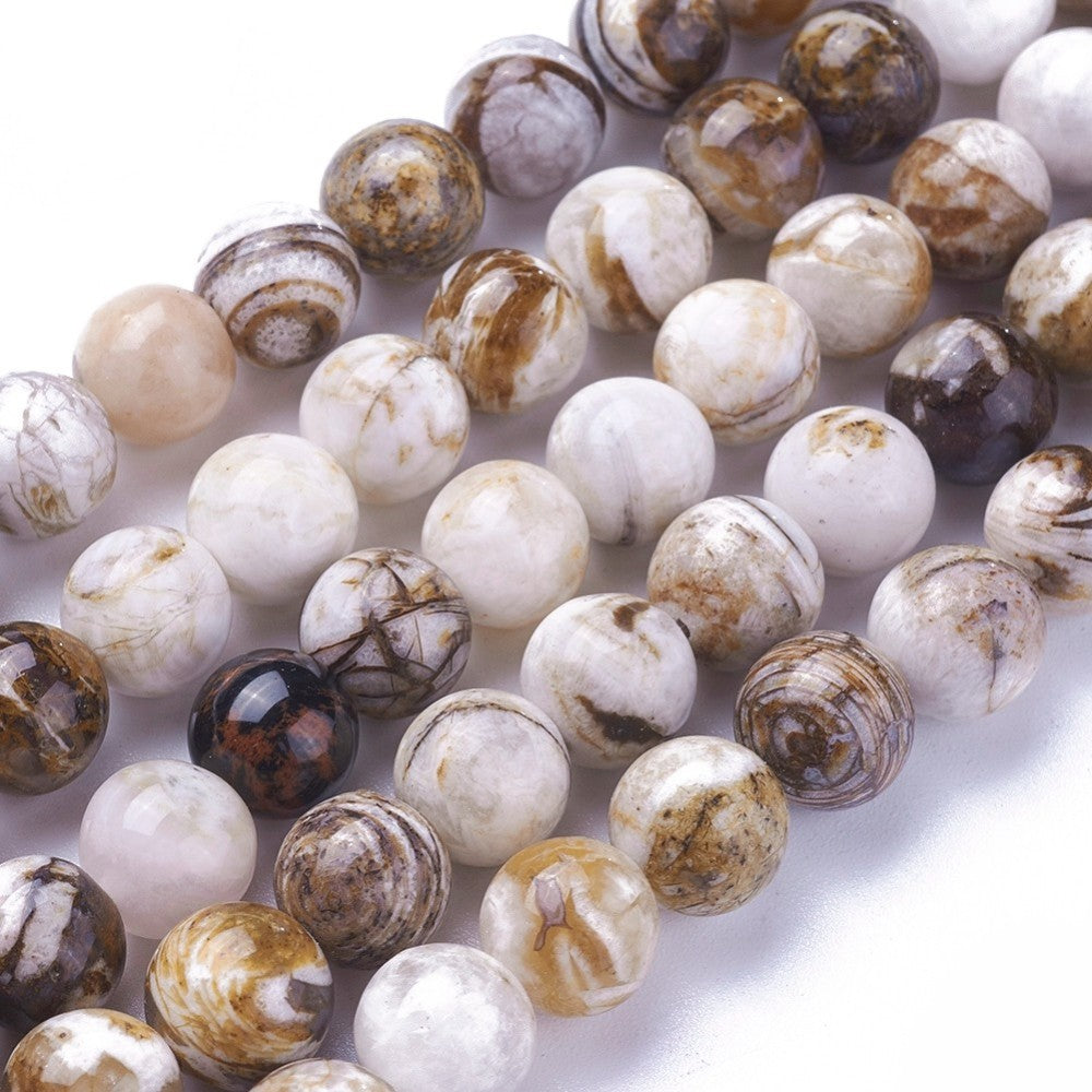 8mm American Petrified Wood Bead Half Strand A18