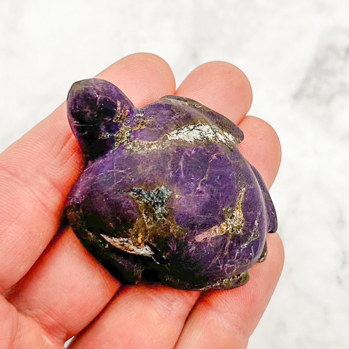 2.25 Inch Purpurite Turtle Purple M68