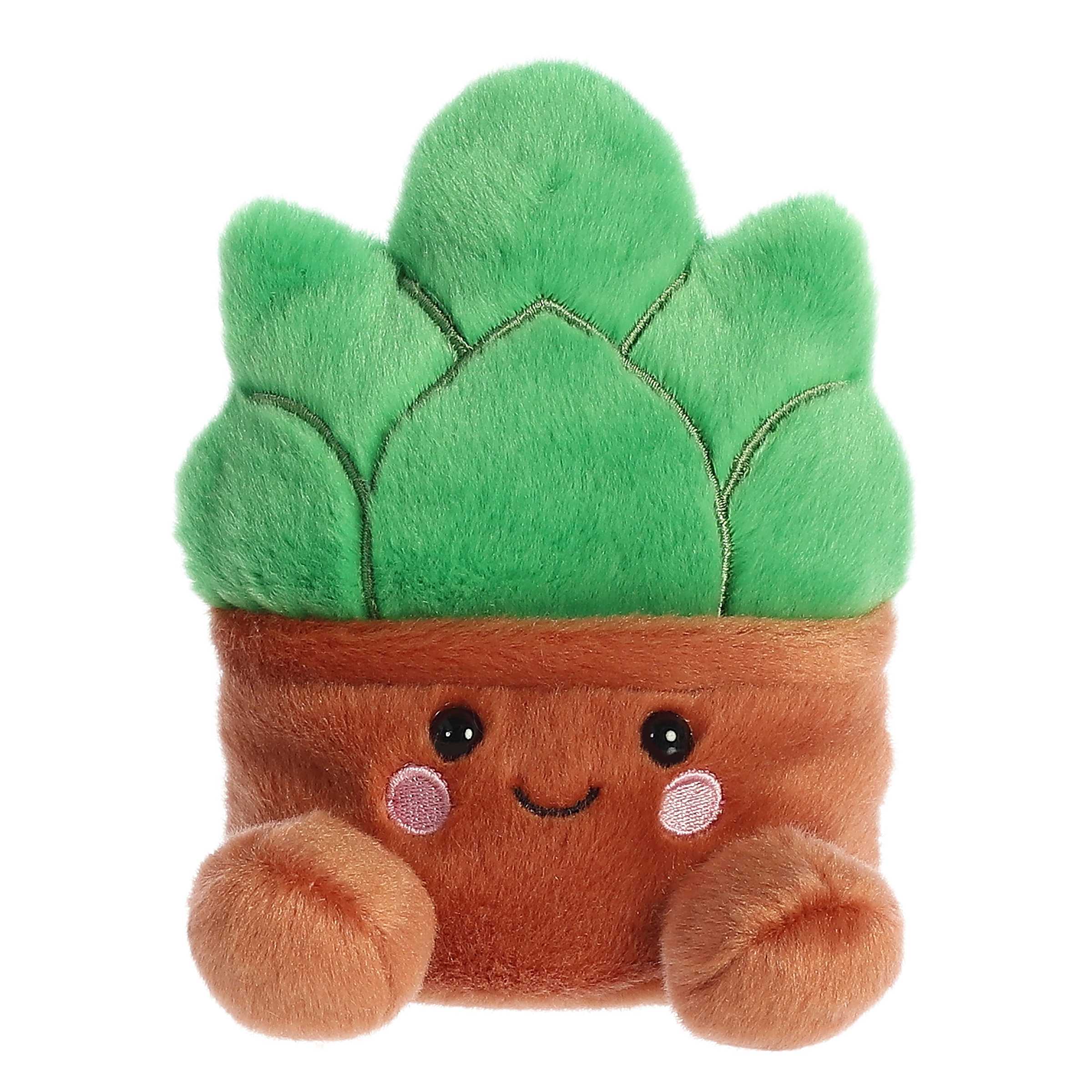 Palm Pals - Gigi Succulent 5"