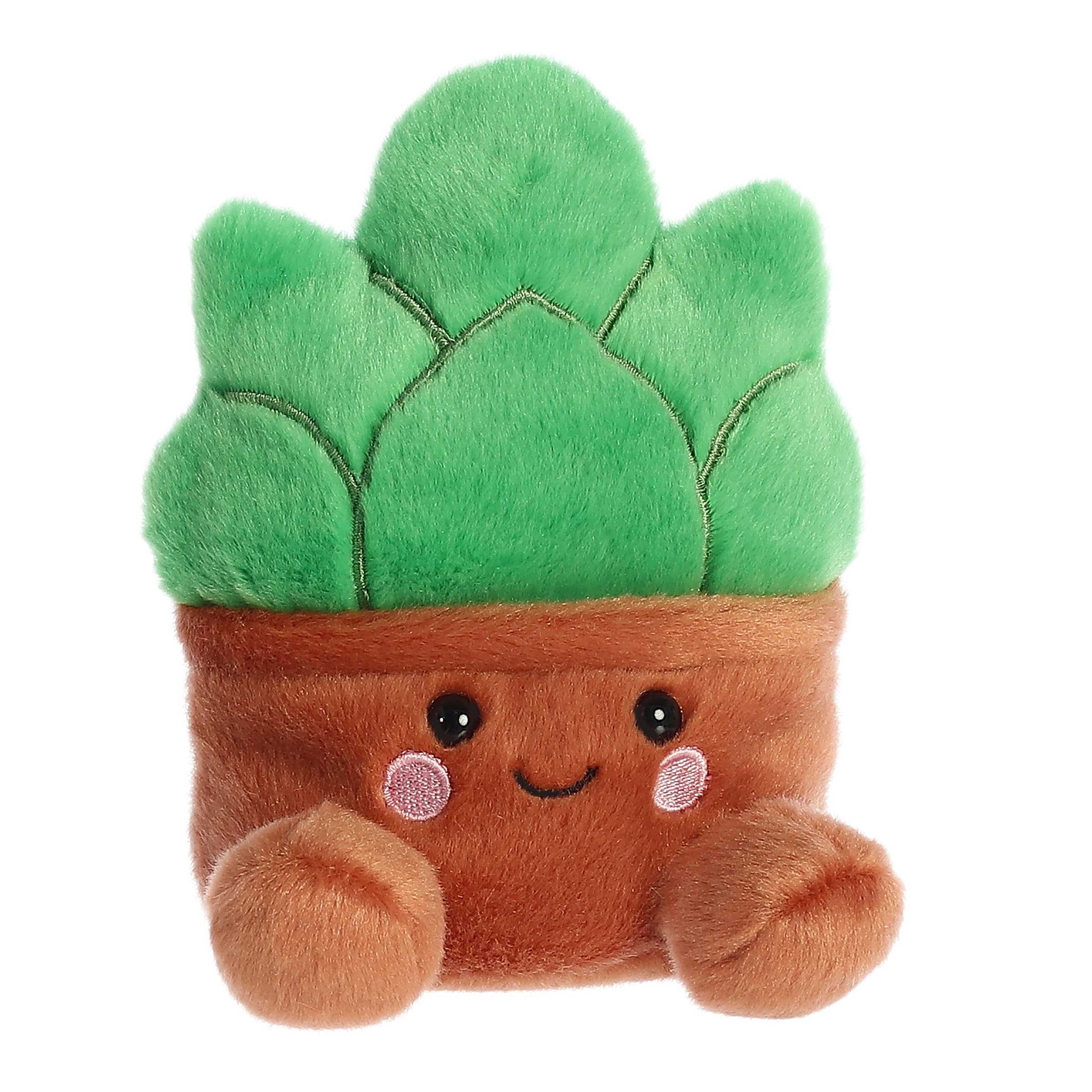 Palm Pals - Gigi Succulent 5"