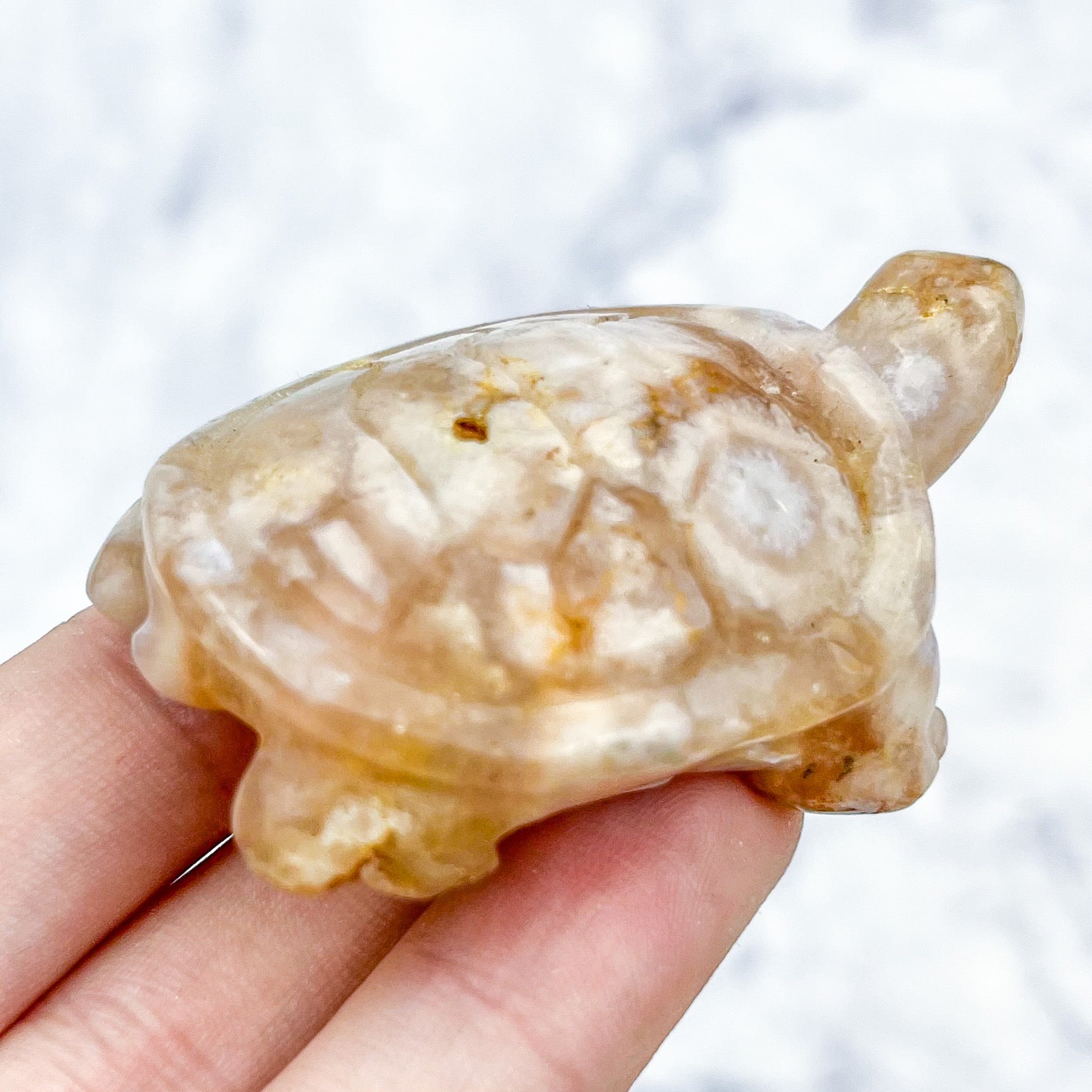 2 Inch Flower Agate Turtle Carving A38