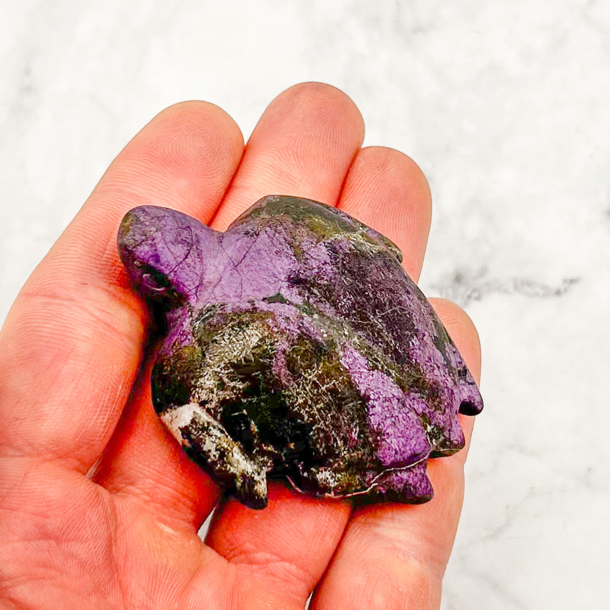 2.25 Inch Purpurite Turtle Purple P68