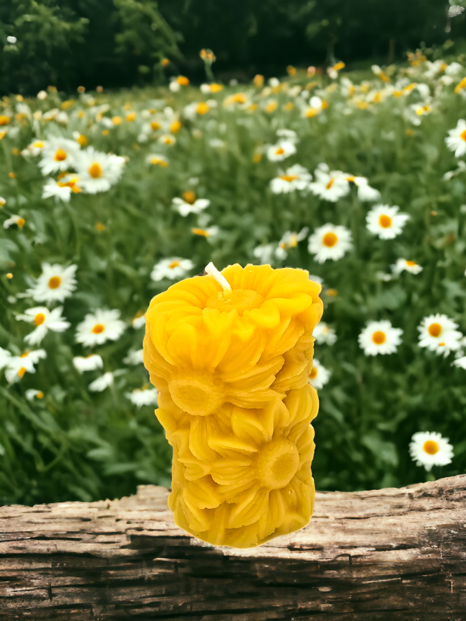 Daisy Beeswax Pillar Candle