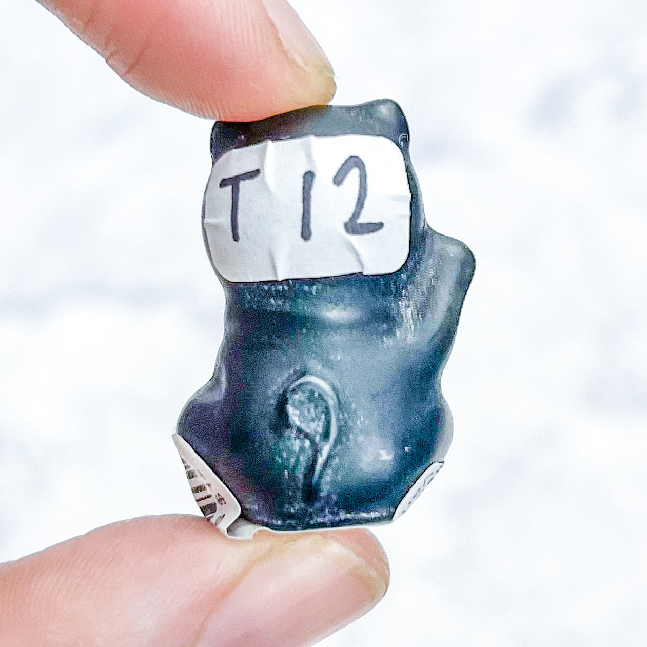 1 Inch Black Obsidian Lucky Cat T12
