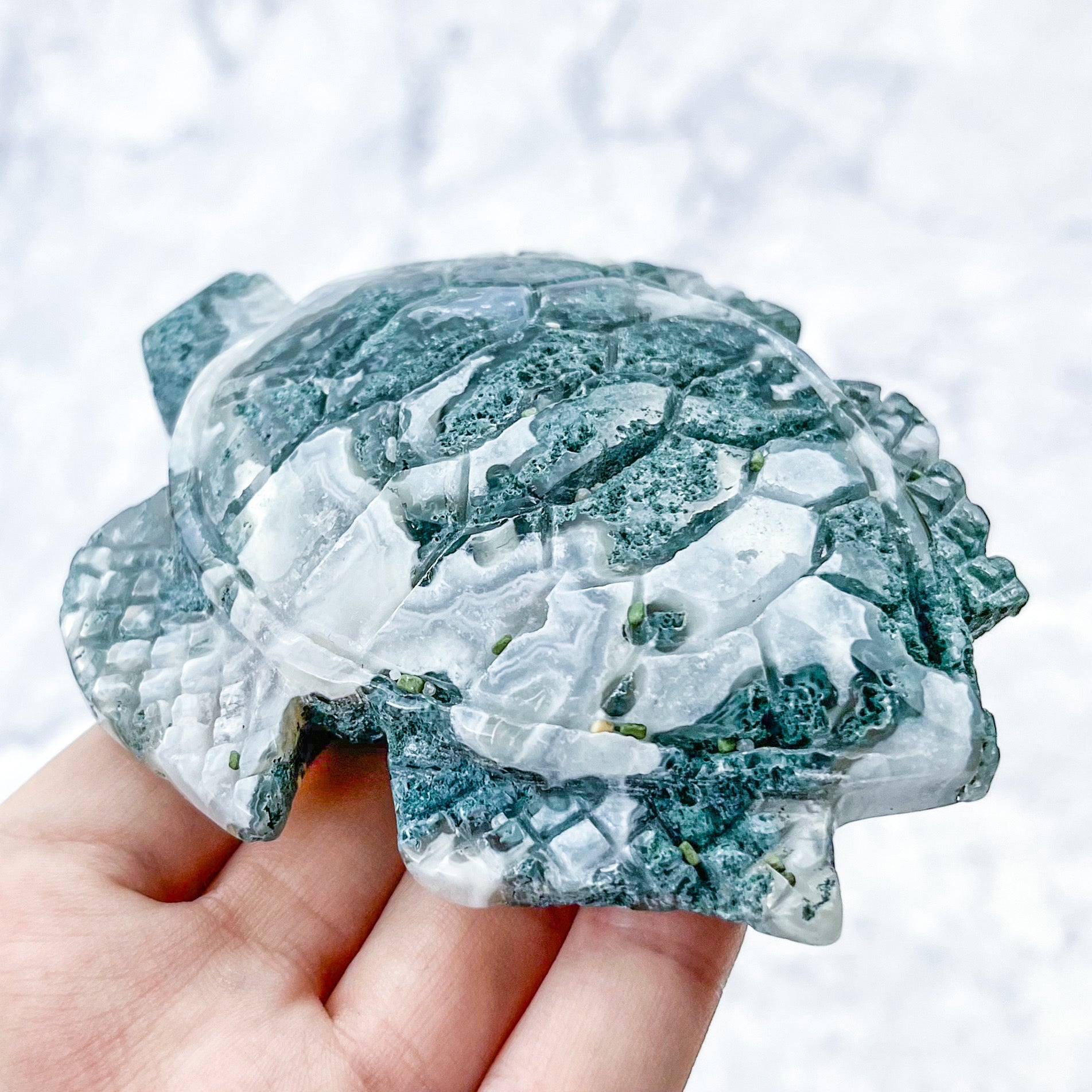 4 Inch Moss Agate Turtle Carving W120