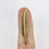 $2.00 Antique gold Feather Alloy Pendant Pack (5 Pendants)