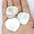 3 Shiva Shell Hearts