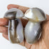 2.5 Inch Agate Mushroom $8