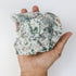 4 Inch Moss Agate Skull E59