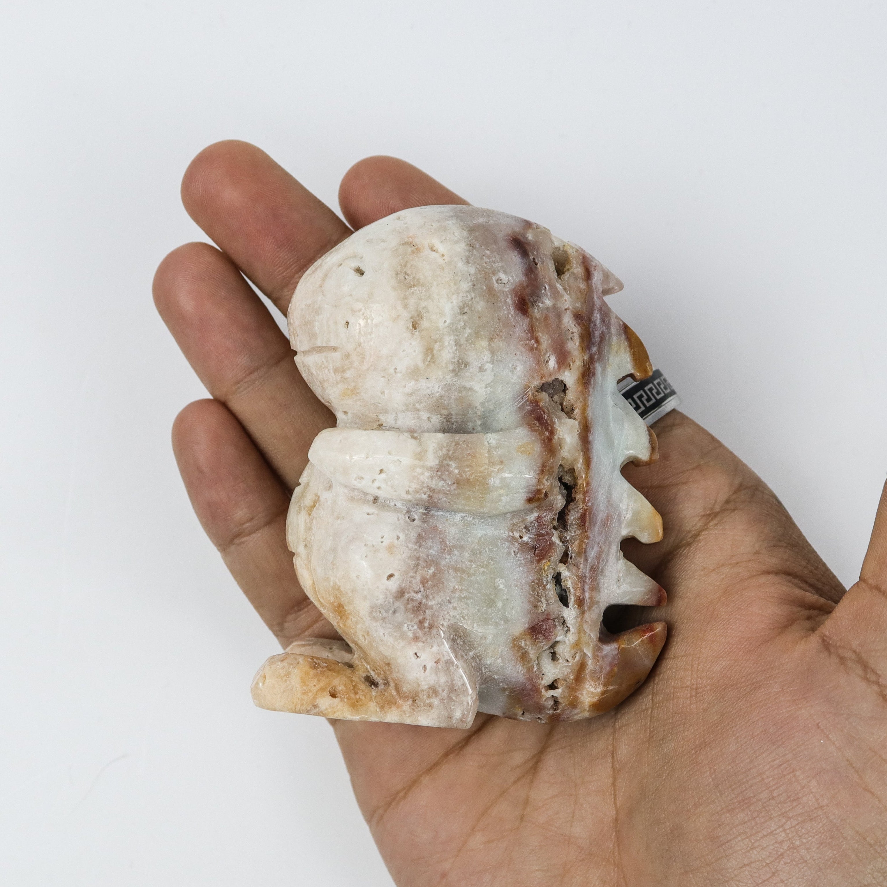 3.5 Inch Ocean Jasper Dinosaur H30