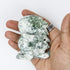 3.5 Inch Moss Agate Dinosaur A30