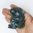 3.5 Inch Moss Agate Dinosaur X30