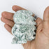 3.5 Inch Moss Agate Dinosaur C30