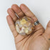 2 Inch Flower Agate Palm Stone G6