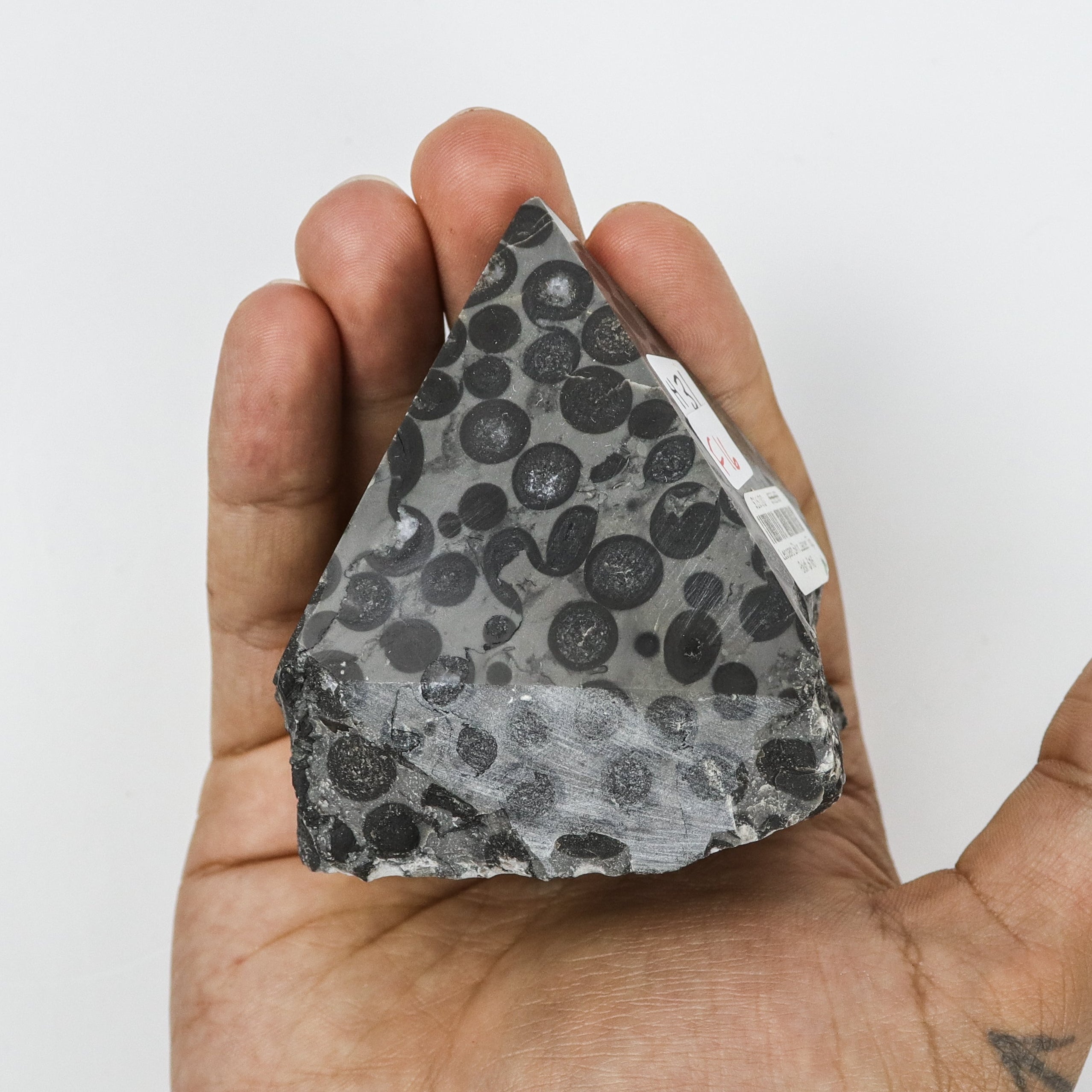 3 Inch Leopard Skin Jasper Top Polish F16