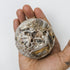 3 Inch Sphalerite Sphere B28
