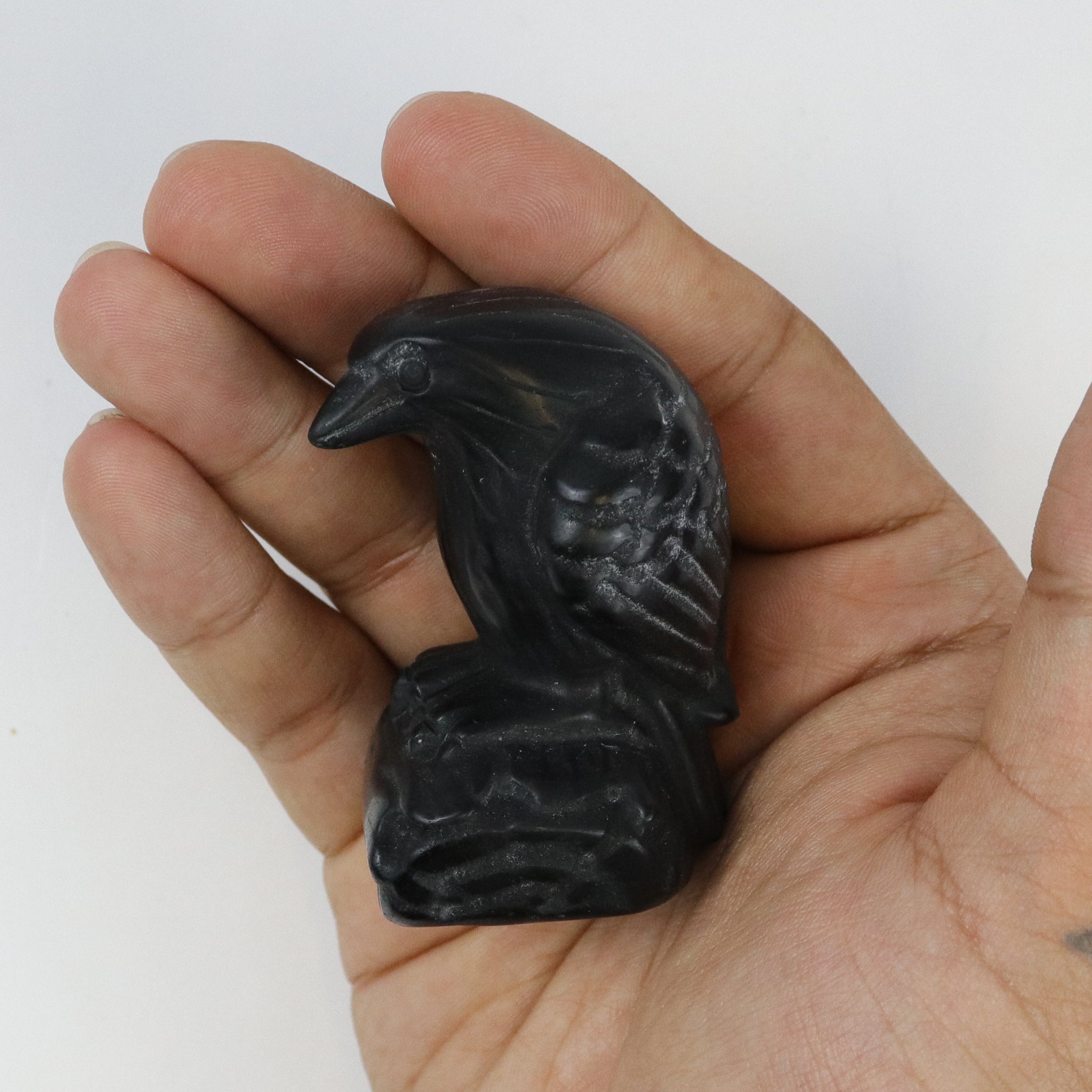 2.5 Inch Obsidian Raven F16