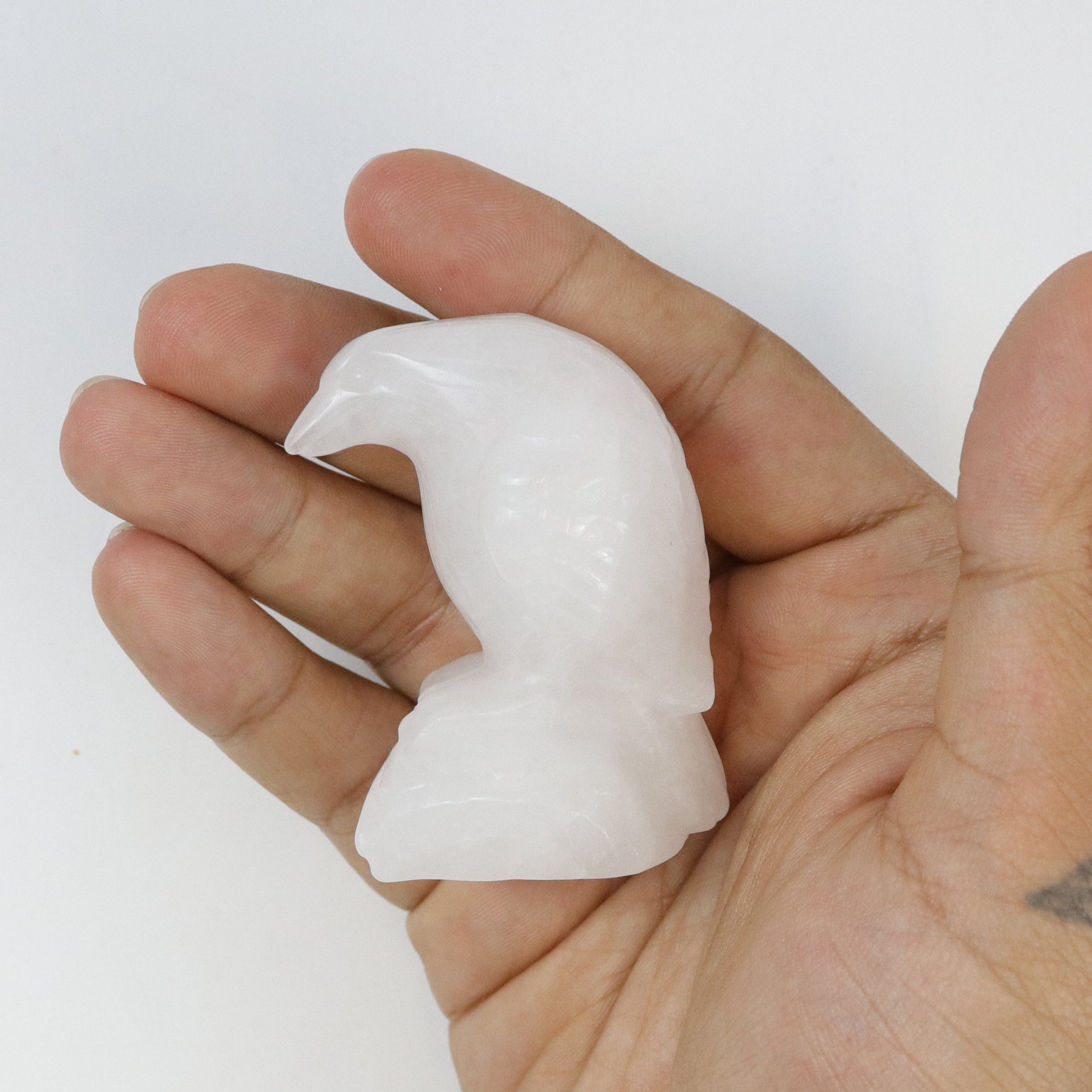 2.5 Inch Quartz Raven G16
