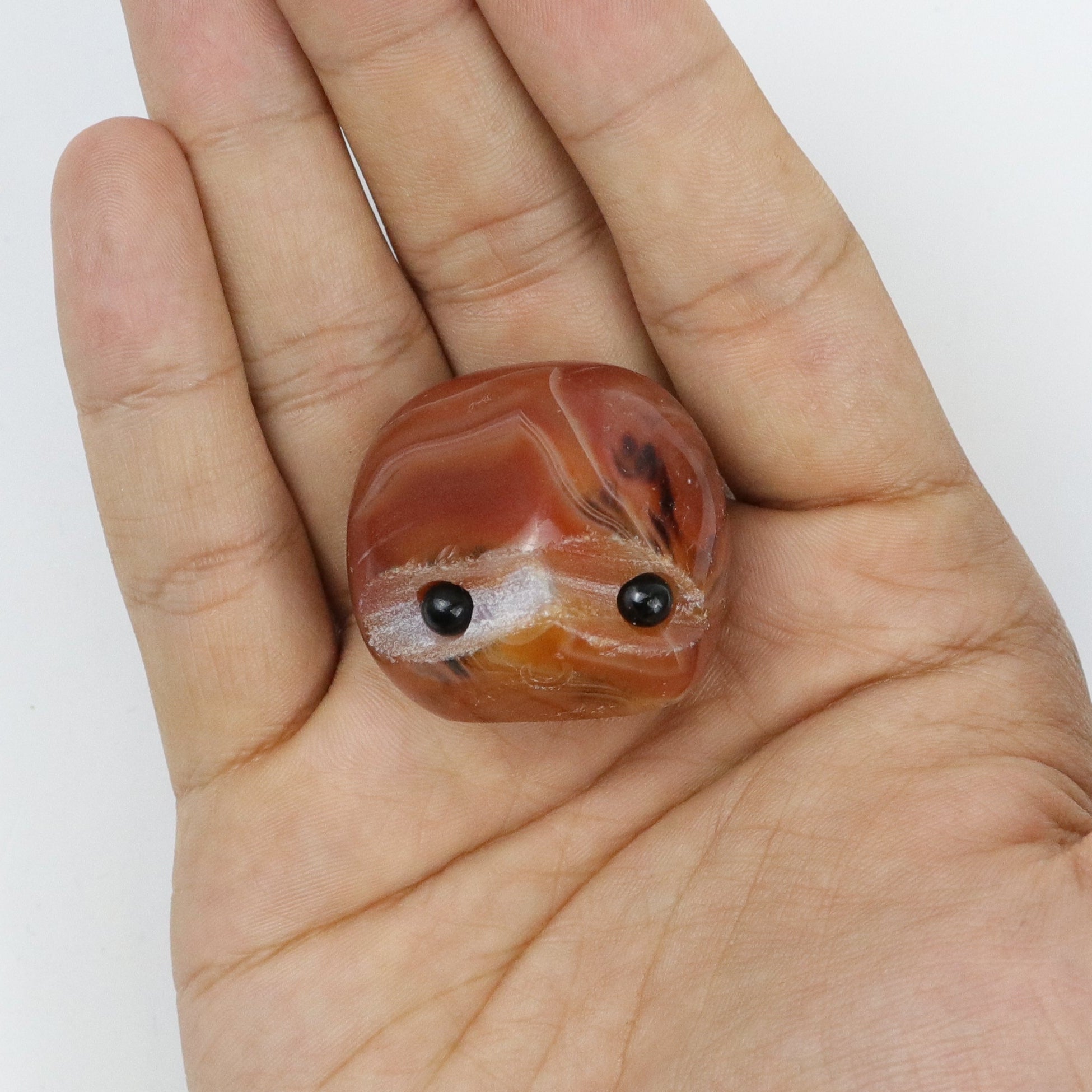 1 Inch Sardonyx Rock Buddy B7