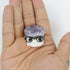 1 Inch Amethyst Cluster Buddy B8