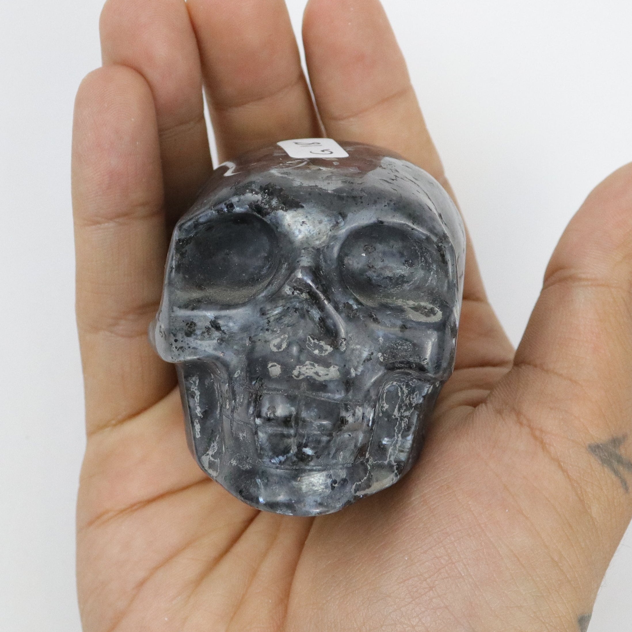 2.5 Inch Larvakite Skull G18