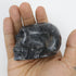 2.5 Inch Larvakite Skull G18
