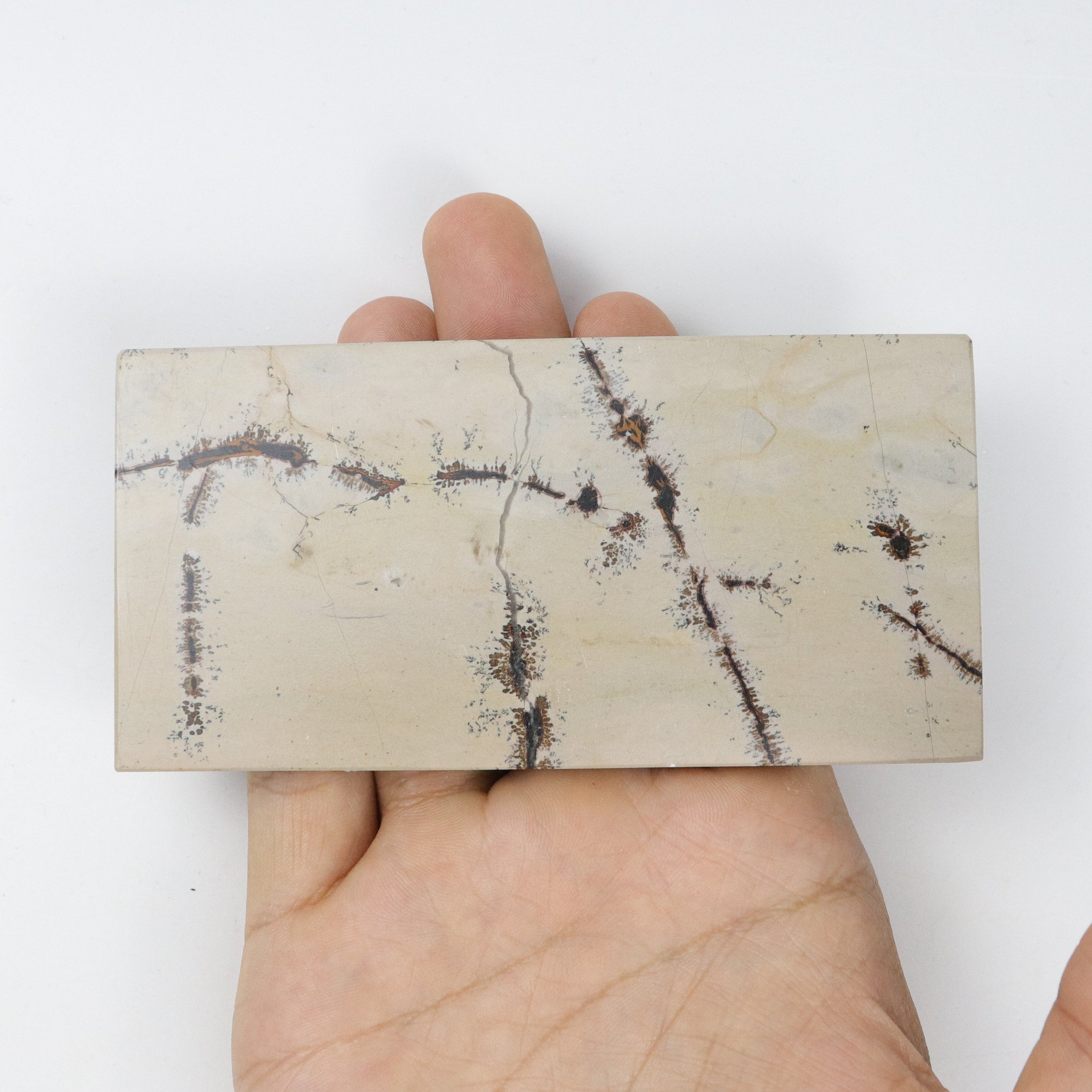 4.75 Inch Picture Jasper Slab w Stand B28