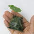 2.25 Inch Serpentine Frog w Lily Pad F18