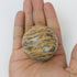 2 Inch Tigers Skin Jasper Sphere E22