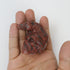 2 Inch Red Jasper Dragon on Skull M19