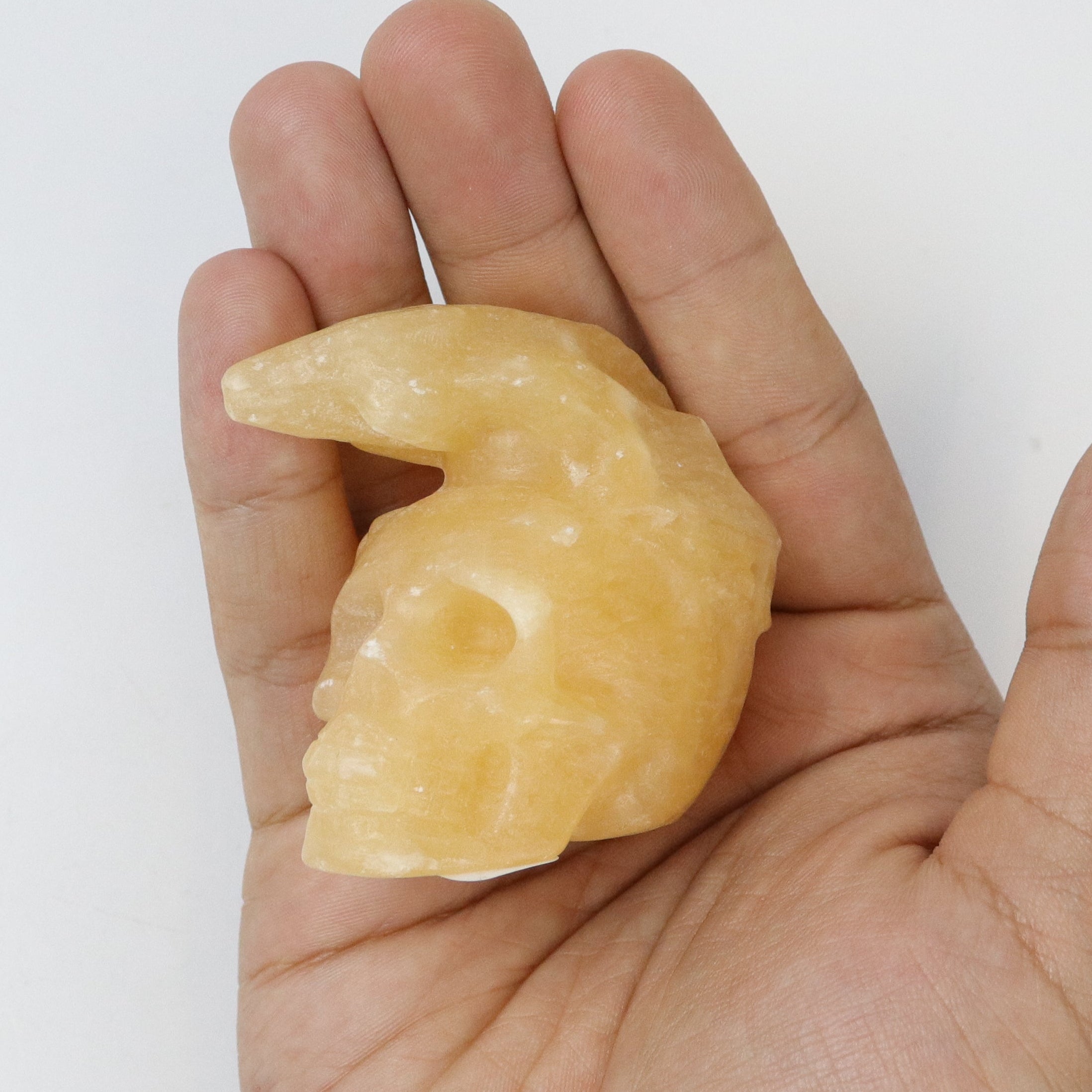 2 Inch Honey Calcite Dragon on Skull L19