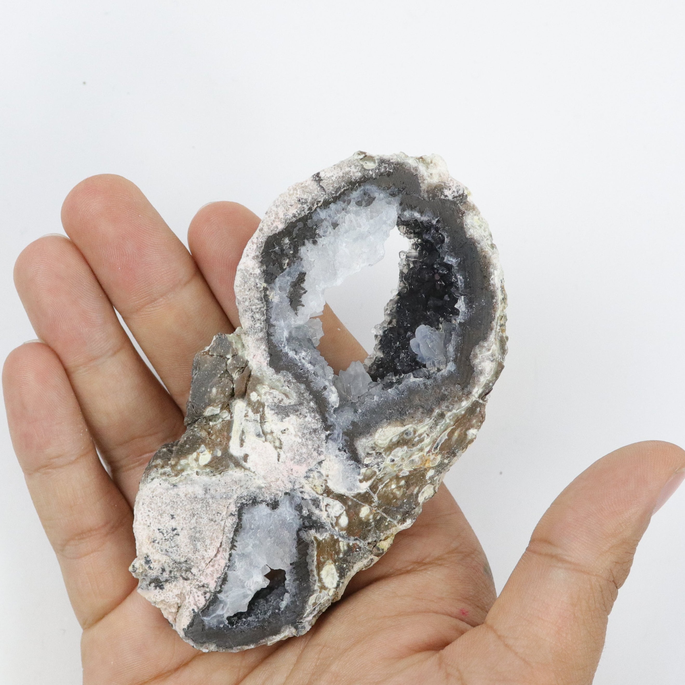4 Inch Trancas Agate Slice X16