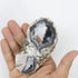 4 Inch Trancas Agate Slice X16